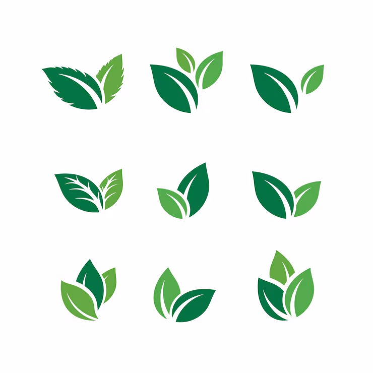 R10 Off Expensive Plant Image